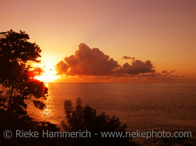  > sunset over the ocean - tobago, west indies